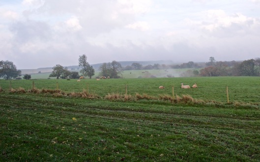ploughedgrass
